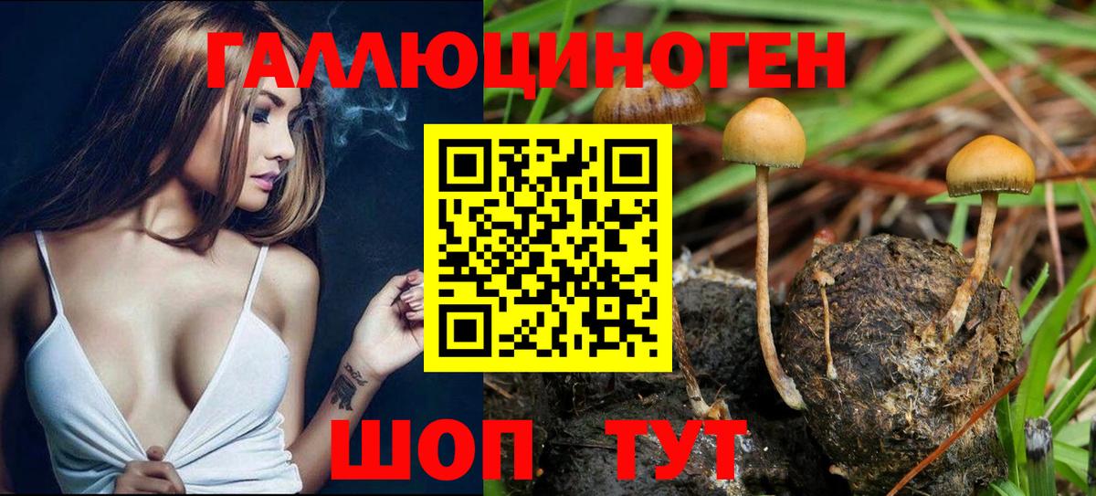 Псилоцибиновые грибы Magic Shrooms Новотроицк